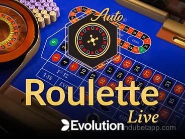 Auto-Roulette Game at HinduBet